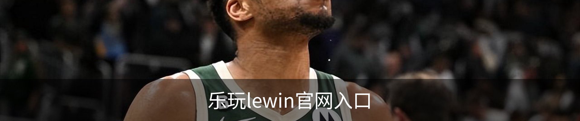 乐玩lewin官网入口